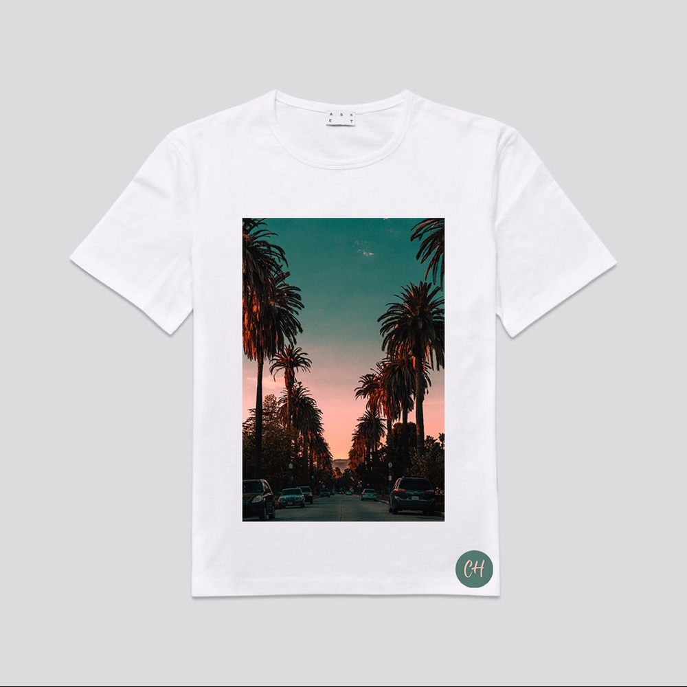 CH PALM TREE